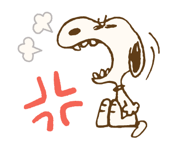 Snoopy & Woodstock วินเทจ รูปที่ 20