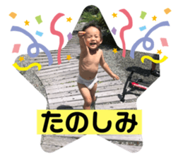 377426697