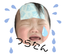 377489035