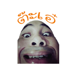 37748933