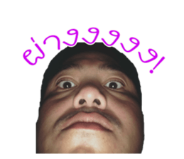37748949
