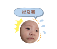 377507312