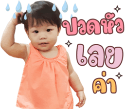 377507684