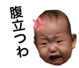377558124