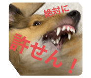 377559825