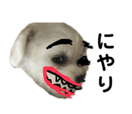 377562585