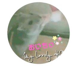 377564816