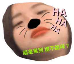 377568533