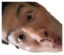 377595696