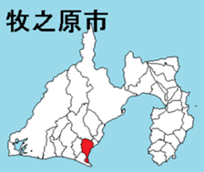 377599916