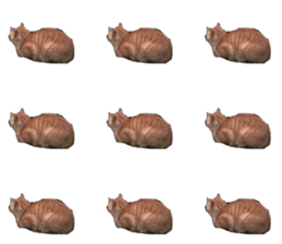 377625240