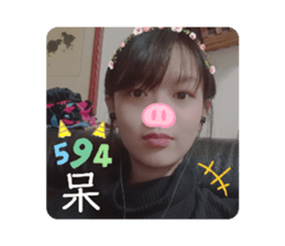 377668245