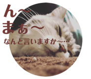 377710587