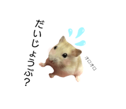 377713427