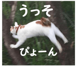 377730544
