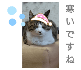 377733460