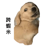377738807