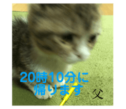 377741434