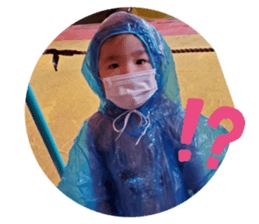 377742227