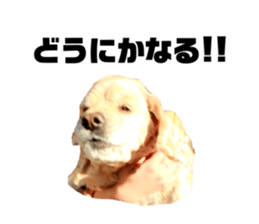 377747914