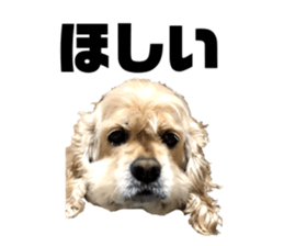 377747919