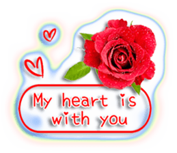 377749986