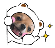 377752708