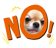 377752723