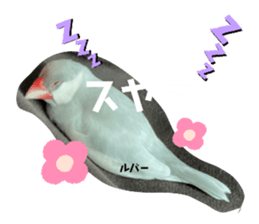 377788972