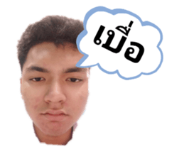 377806891