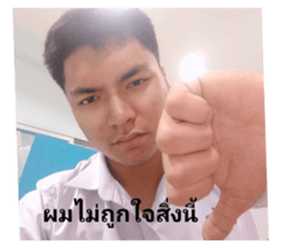 377806893