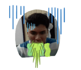 377806904