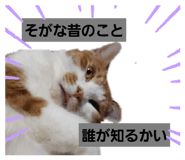 377807415