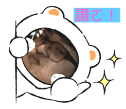 377811609
