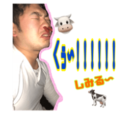377855951