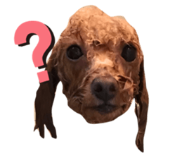 377857820