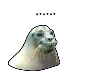 377870427