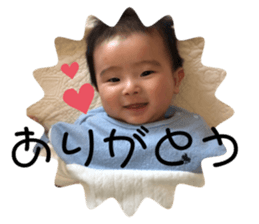 377930753