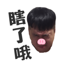 377945481