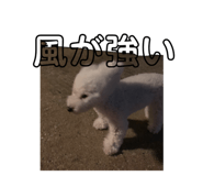 377958266