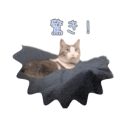 377958269