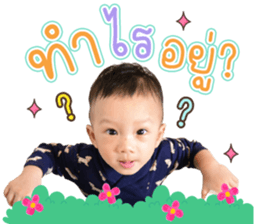 377963120