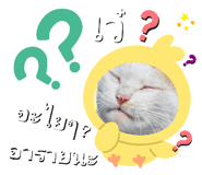377969944