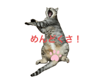 378017185