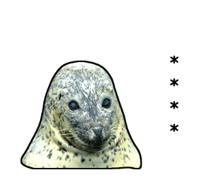 378031821