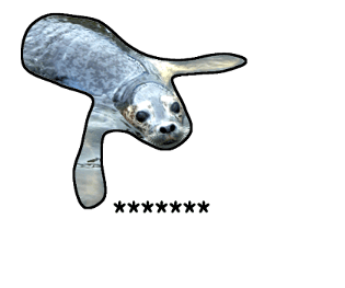 378031822