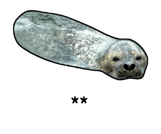 378031831