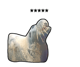 378031833