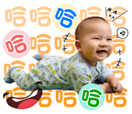 378133650
