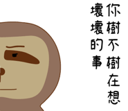 378137080